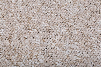 Ковролин Condor Forza 12 фото 1 | FLOORDEALER